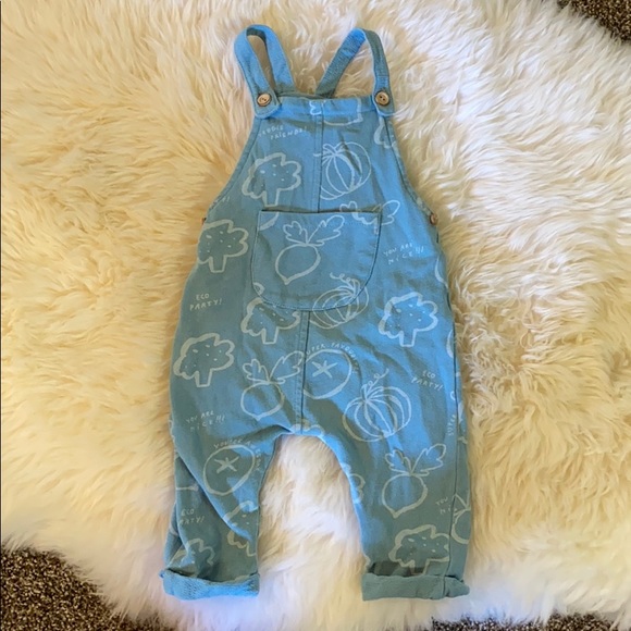 Zara Other - Zara Blue Overalls